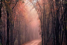 那不勒斯主场逆转，一鸣惊人